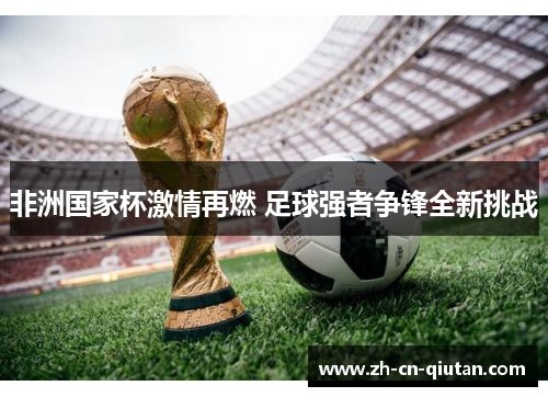 非洲国家杯激情再燃 足球强者争锋全新挑战 非洲国家杯激情再燃 足球强者争锋全新挑战
