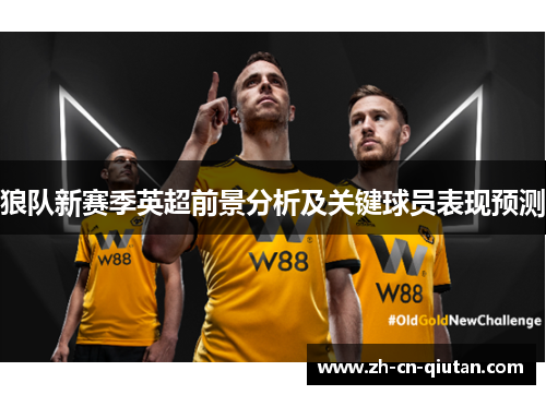 狼队新赛季英超前景分析及关键球员表现预测 狼队新赛季英超前景分析及关键球员表现预测